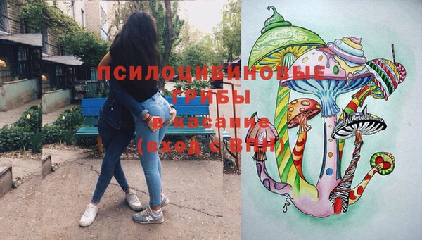 герыч Дмитров