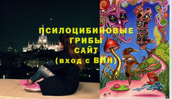 герыч Дмитриев