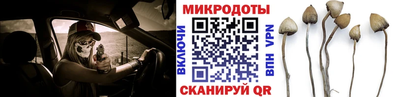 Купить закладки  Игра  Псилоцибиновые грибы мицелий 